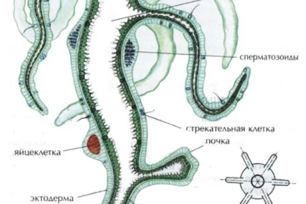 Кракен рабочая ссылка