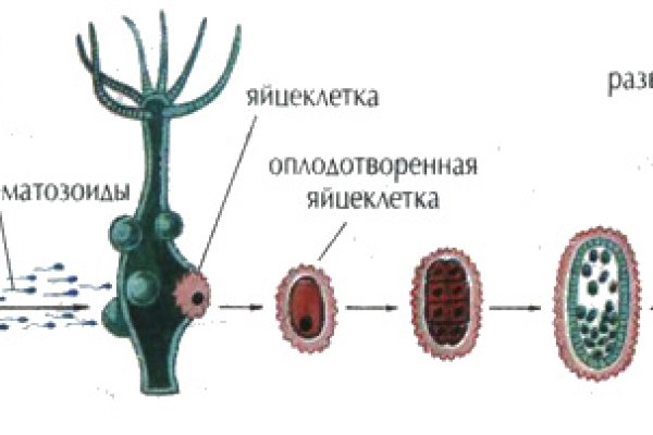 Кракен нар шоп